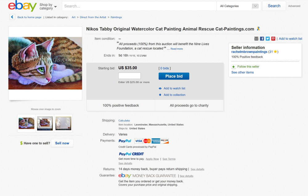 Charity Auction for Nine Lives Foundation