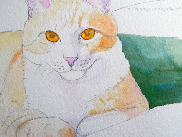 unfinished watercolor