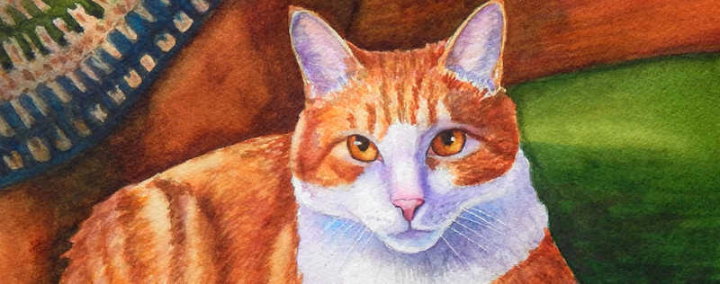 Cat Paintings Banner