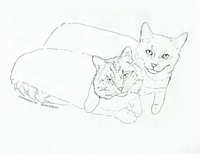 PDF Printable of two orange cats