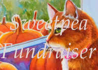 Help Sweetpea FOR Animals