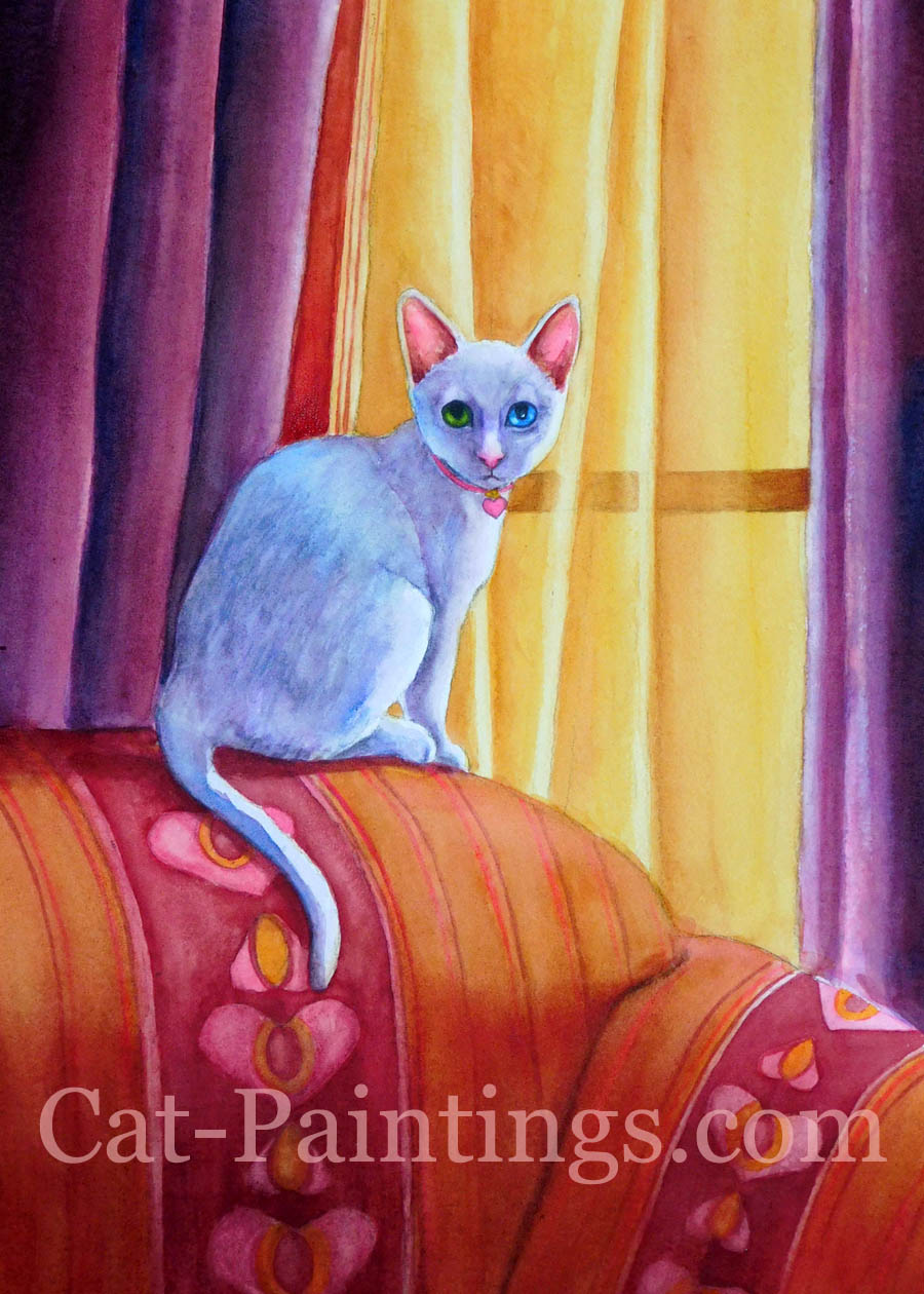Valentine white cat on Victorian furniture